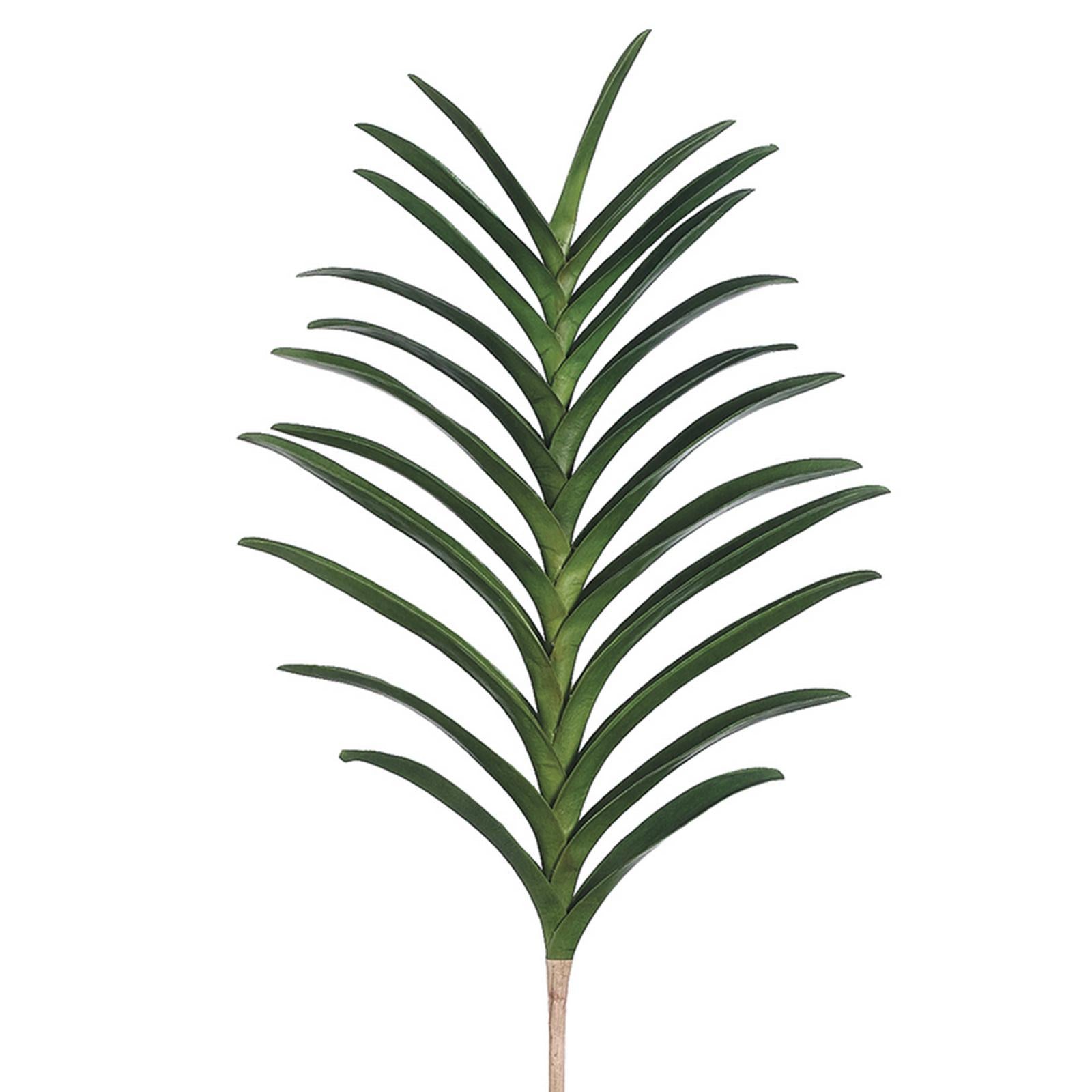 Vanda Leaf Plant (23 lvs)-31"