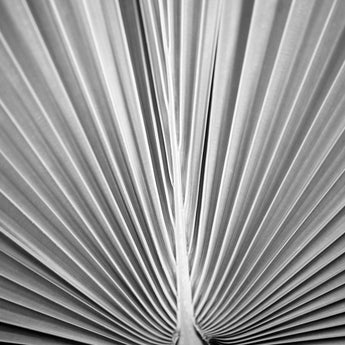 Sepia Diptych Palm Print 24"x36" (Left)