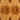 Freya Olive Ash Veneer Box Set by Made Goods – view 11