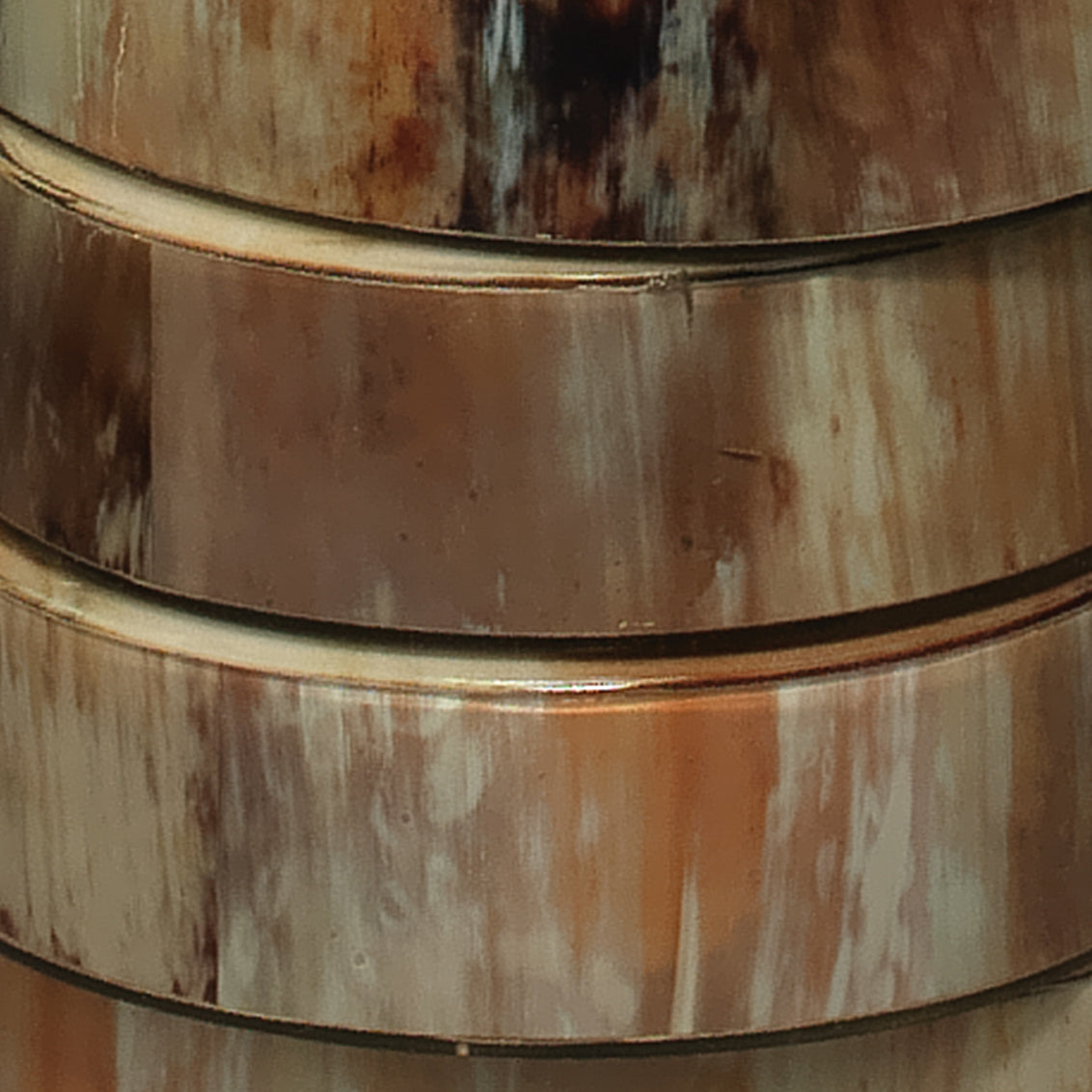 closeup of horn discs