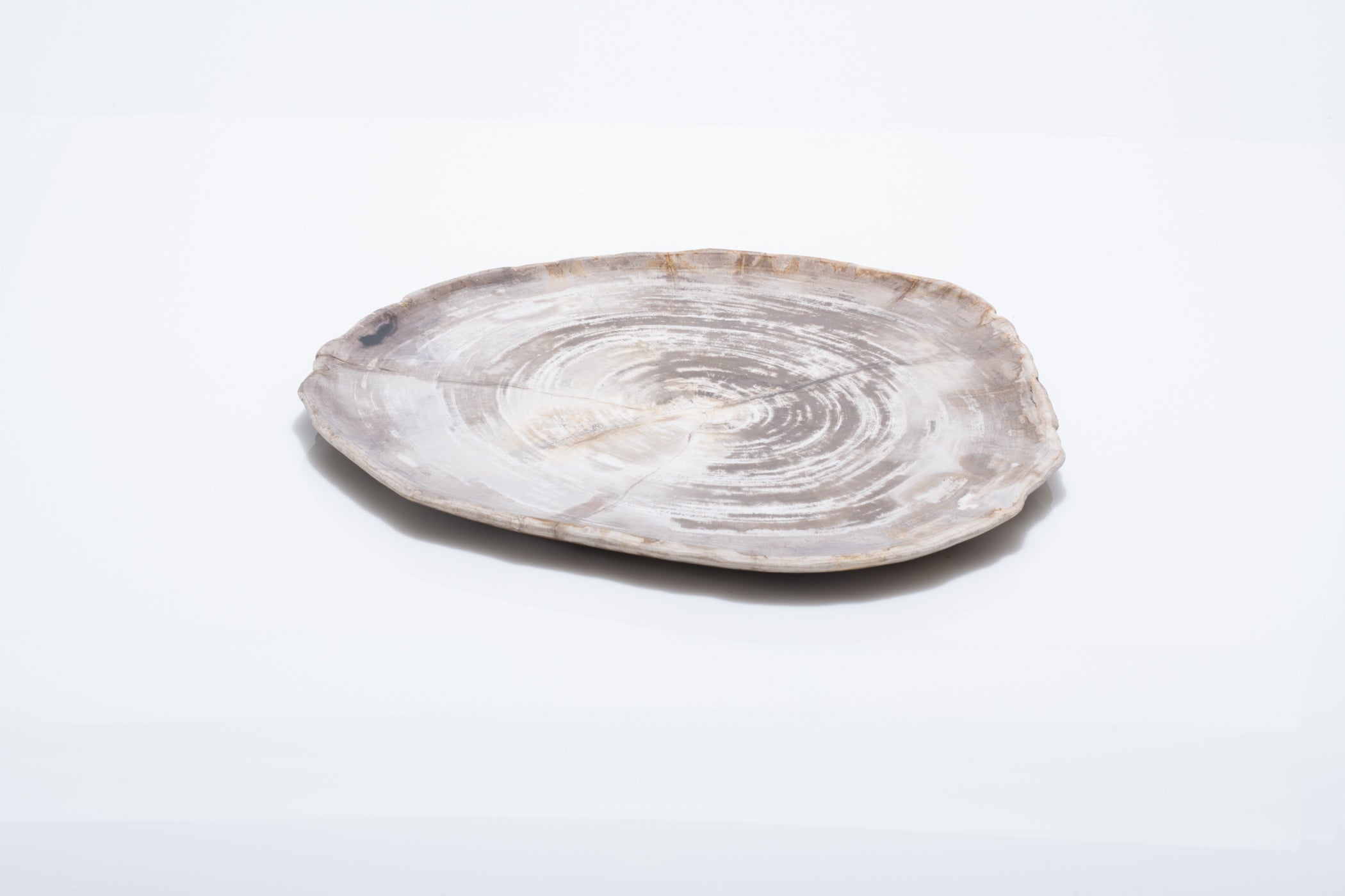Natural Petrified Wood Plate