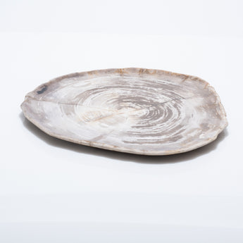 Natural Petrified Wood Plate