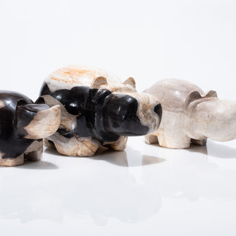 Petrified Stone Hippo and Rhino Friend Sculptures