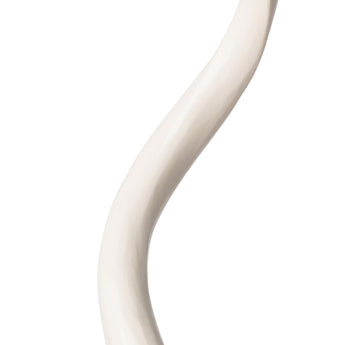 Mounted Kudu Inner Horn on Lucite